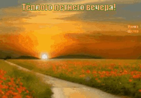 Анимированная открытка Теплого , летнего вечера!