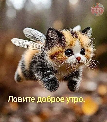 Открытка Ловите доброе утро