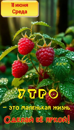Открытка 18 июня среда