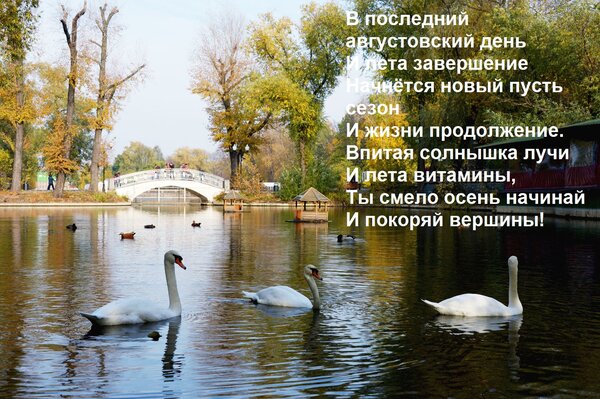 Открытка В последний августовский день И лета завершение Начнётся новый пусть сезон И жизни продолжение. Впит