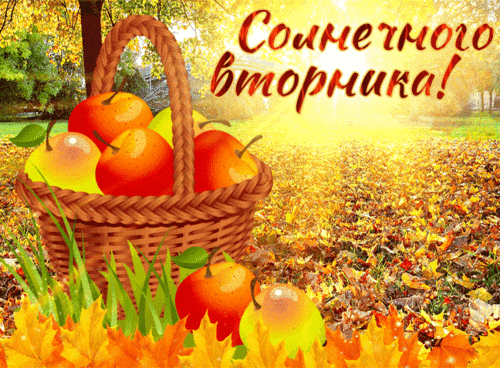 Анимированная открытка Солнечного Вторника!