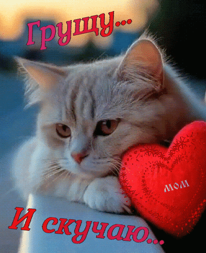 Анимированная открытка Грущу... И скучаю...