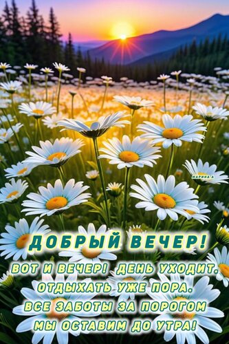 Открытка ДОБРЫЙ ВЕЧЕР! ВОТ И ВЕЧЕР! ДЕНЬ УХОДИТ. ОТДЫХАТЬ УЖЕ ПОРА. ВСЕ ЗАБОТЫ ЗА ПОРОГОМ МЫ ОСТАВИМ ДО УТРА!