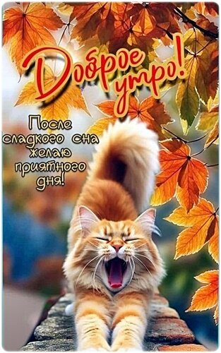 Открытка Доброе утро!