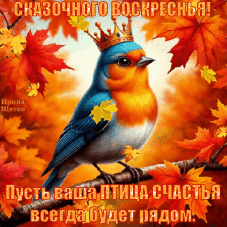 Анимированная открытка Воскресенье