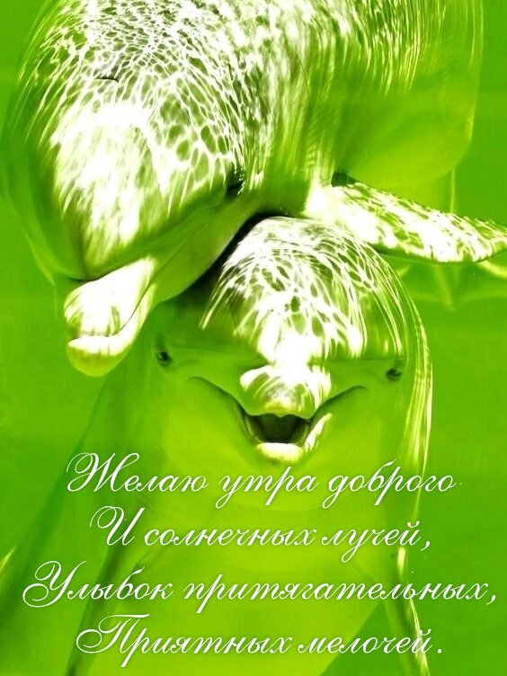 Открытка Желаю утра доброго и солнечных лучей