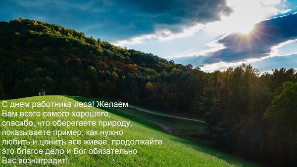 Открытка С днем работника леса! Желаем Вам всего самого хорошего, спасибо, что оберегаете природу, показывает