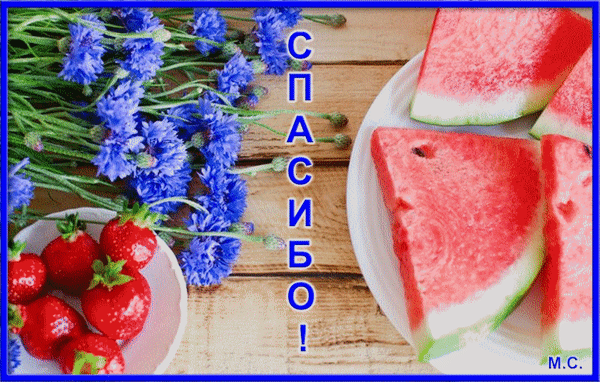 Анимированная открытка СПАСИБО!, (М. С.)