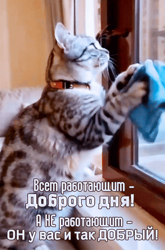Анимированная открытка Всем работающим - Доброго дня! А не работающим - он у вас и так добрый!