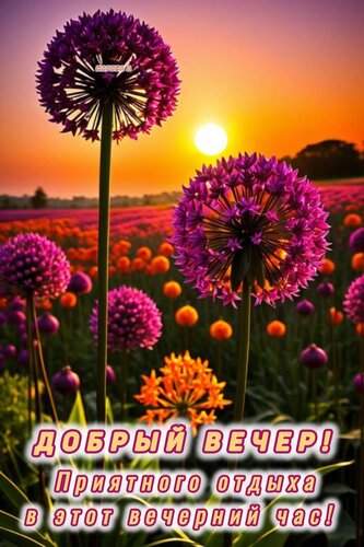 Открытка ДОБРЫЙ ВЕЧЕР! ПРИЯТНОГО ОТДЫХА В ЭТОТ ВЕЧЕРНИЙ ЧАС!