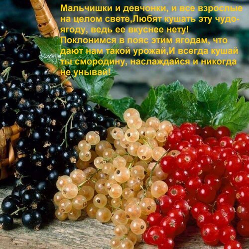 Открытка Мальчишки и девчонки, и все взрослые на целом свете, Любят кушать эту чудо-ягоду, ведь ее вкуснее не