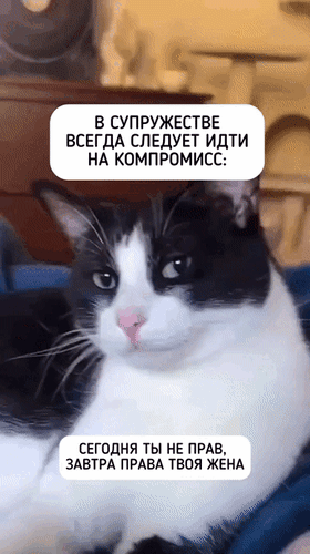 Анимированная открытка В супружестве всегда следует идти на компромисс: сегодня ты не прав, завтра права твоя жена
