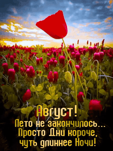Анимированная открытка Август! Лето не закончилось... Просто дни короче, чуть длиннее ночи!