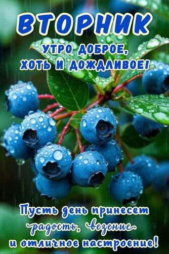 Открытка ВТОРНИК.УТРО ДОБРОЕ, ХОТЬ И ДОЖДЛИВОЕ! ПУСТЬ ДЕНЬ ПРИНЕСЕТ РАДОСТЬ, ВЕЗЕНИЕ И ОТЛИЧНОЕ НАСТРОЕНИЕ!