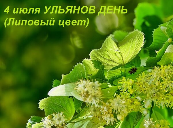Открытка 4 июля УЛЬЯНОВ ДЕНЬ (Липовый цвет)