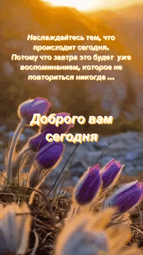 Анимированная открытка Наслаждайтесь тем, что происходит сегодня. Потому что завтра это будет уже воспоминанием, которое