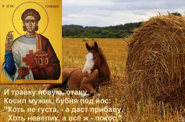 Открытка И травку новую, отаву, Косил мужик, бубня под нос: Хоть не густа, - а даст прибаву. Хоть невелик,