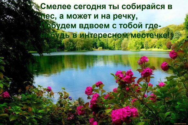 Открытка Смелее сегодня ты собирайся в лес, а может и на речку, Побудем вдвоем с тобой где-нибудь в интересно
