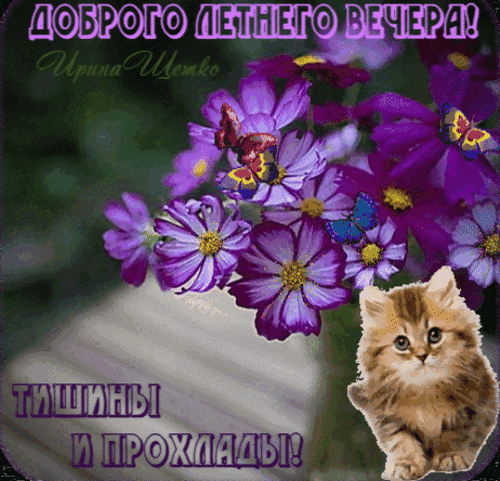 Анимированная открытка Добрый вечер!