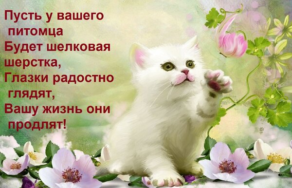 Открытка Пусть у вашего питомца Будет шелковая шерстка, Глазки радостно глядят, Вашу жизнь они продлят!