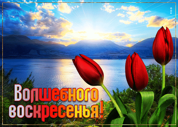 Анимированная открытка Воскресенье