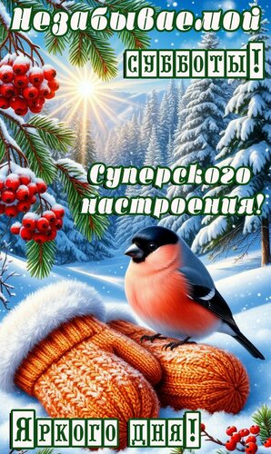 Открытка Суббота