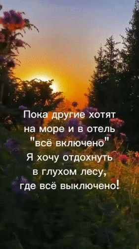 Анимированная открытка Пока другие хотят на море и в отель всё включено , я хочу отдохнуть в глухом лесу, где всё выключен