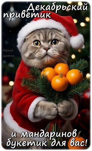 Открытка декабрьский приветик