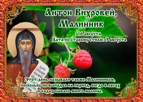 Анимированная открытка Антон Вихровей, Малинник