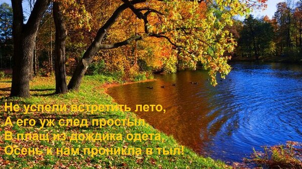 Открытка Не успели встретить лето, А его уж след простыл, В плащ из дождика одета, Осень к нам проникла в тыл