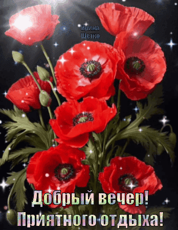 Анимированная открытка Добрый вечер!