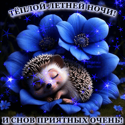 Анимированная открытка Летней ночи!