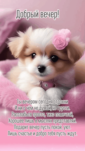Анимированная открытка Добрый вечер! Ты вечером сегодня отдохни и ни о чём не думай, не грусти. Расслабься просто, тихо