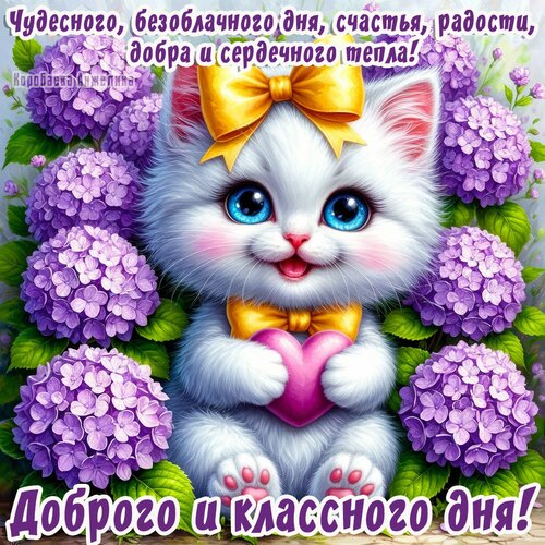 Открытка Добрый день