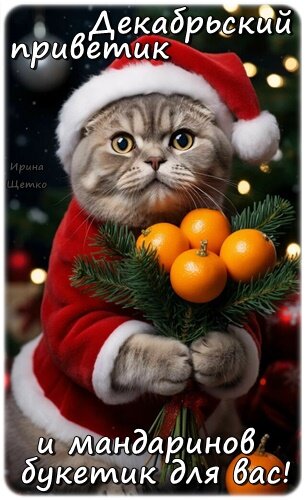 Открытка ДЕКАБРЬСКИЙ ПРИВЕТИК