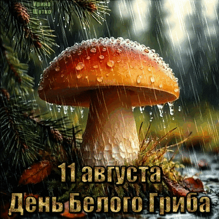 Анимированная открытка День белого гриба