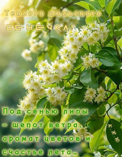 Открытка Теплого июльского денечка.