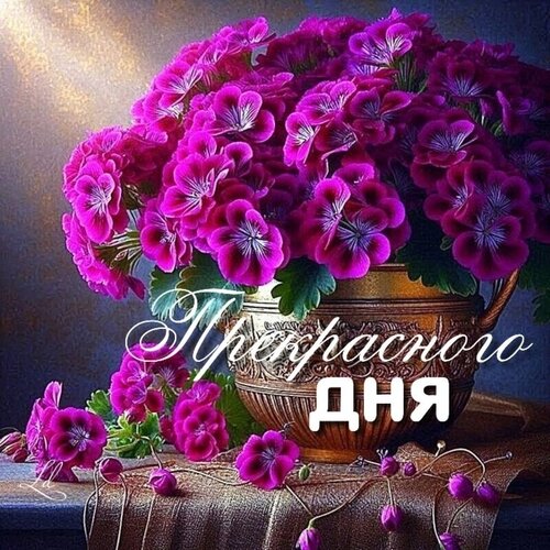 Открытка прекрасного дня