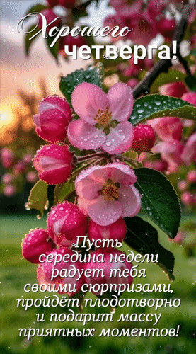 Анимированная открытка Хорошего четверга! Пусть середина недели радует тебя своими сюрпризами, пройдёт плодотворно и