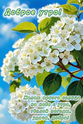 Открытка ДОБРОЕ УТРО! ЖЕЛАЮ ЯРКОГО СОЛНЦА НА НЕБЕ С УТРА, ТЕПЛОЙ ПОГОДЫ, УДАЧИ, ДОБРА!