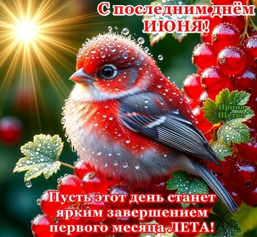 Открытка С последним днем июня!