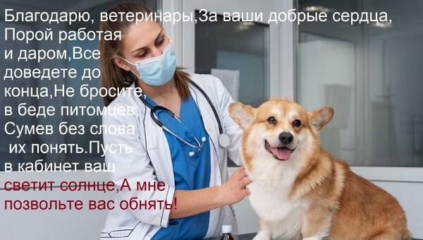 Открытка Благодарю, ветеринары, За ваши добрые сердца, Порой работая и даром, Все доведете до конца, Не броси