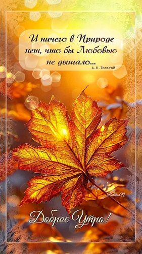 Открытка Доброе утро
