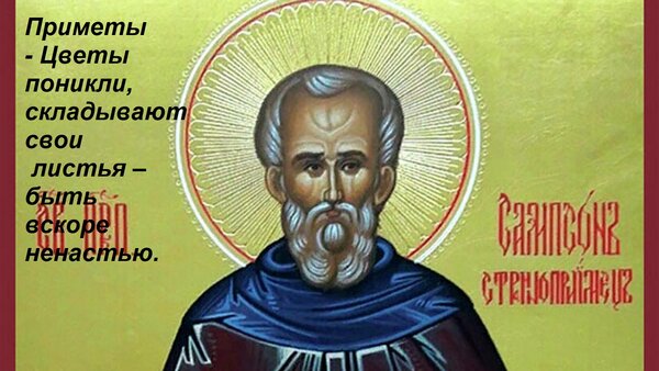 Открытка Приметы - Цветы поникли, складывают свои листья – быть вскоре ненастью.
