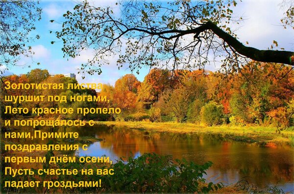 Открытка Золотистая листва шуршит под ногами, Лето красное пропело и попрощалось с нами, Примите поздравления