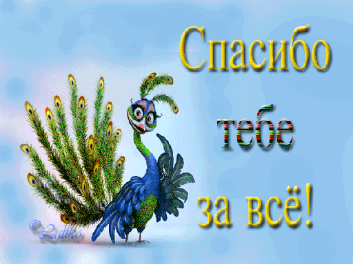 картинки спасибо большое за все