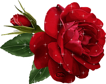 Красная роза в колбе - вечная - стабилизированная