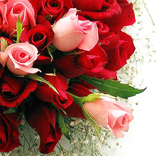 Анимированная открытка Букет роз днем рождения алена