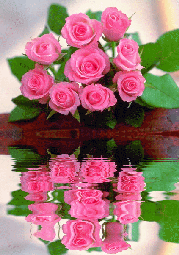 Анимированная открытка Роза gif анимации флорес