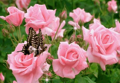 100 000 изображений по запросу Бабочка и цветы доступны в рамках роялти-фри лицензии